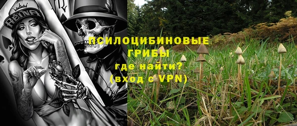 дмт Верея