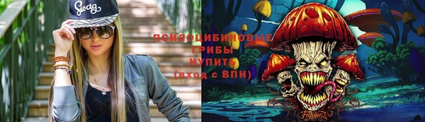 дмт Верея
